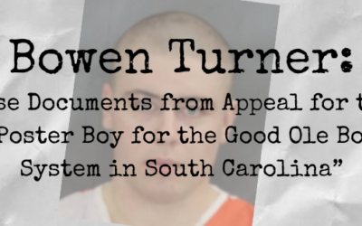 The State v. Bowen G. Turner (In re: Victim C.B.)